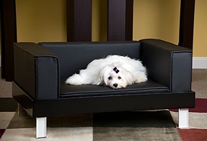 ekskluzywna sofa dla psa