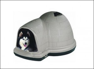 budka dla psa igloo